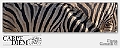 Zebra texture